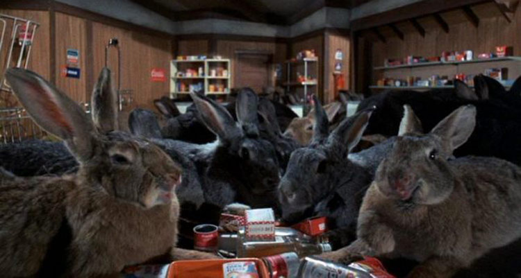 Night of the Lepus - Night of the Rabbits movie - giant rabbits in a supermarket