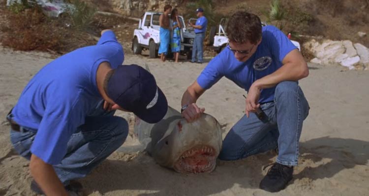 Shark Attack 3 Megalodon 2002 Movie Scene John Barrowman as Ben examining the jaws of a shark that has washed up on a beach