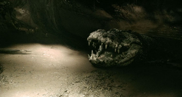 Rogue Movie 2007 Scene Giant crocodile opening its mouth