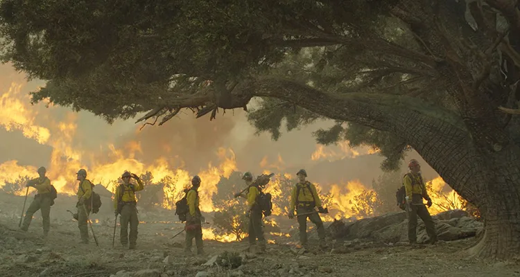 Only The Brave 2017 Movie Scene Firefighters looking at the huge wildfire in front of them next to a big tree