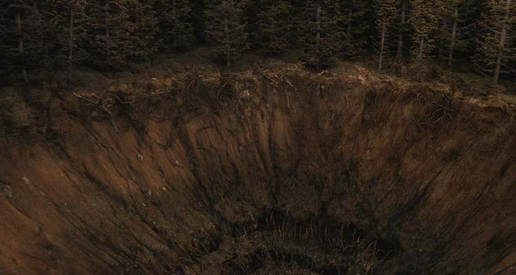 The Hole in the Ground 2019 Movie Scene A giant gaping chasm deep in the Irish forest