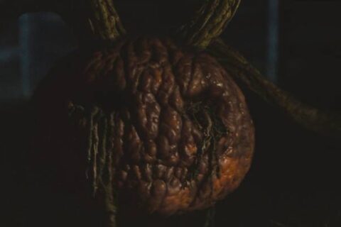 Carved 2024 Movie Scene A killer pumpkin looking for revenge and its next victim